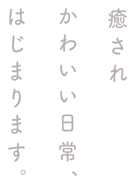 癒されかわいい日常、はじまります。